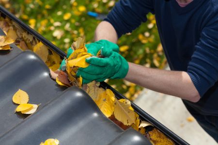 Why Gutter Cleaning Should Be A Top Priority For Every Homeowner